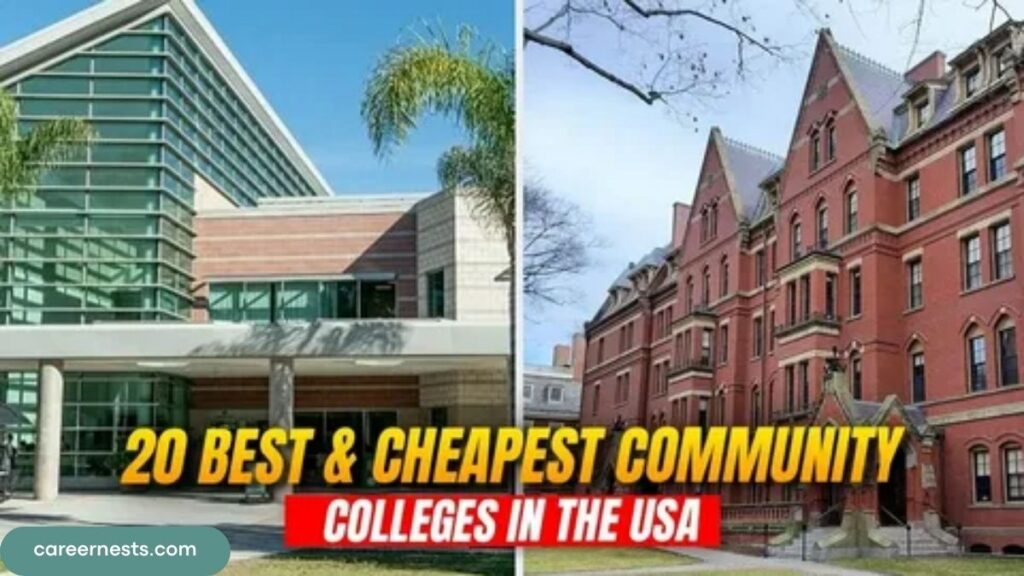 Study in USA: Complete College Guide for Brazilian Students